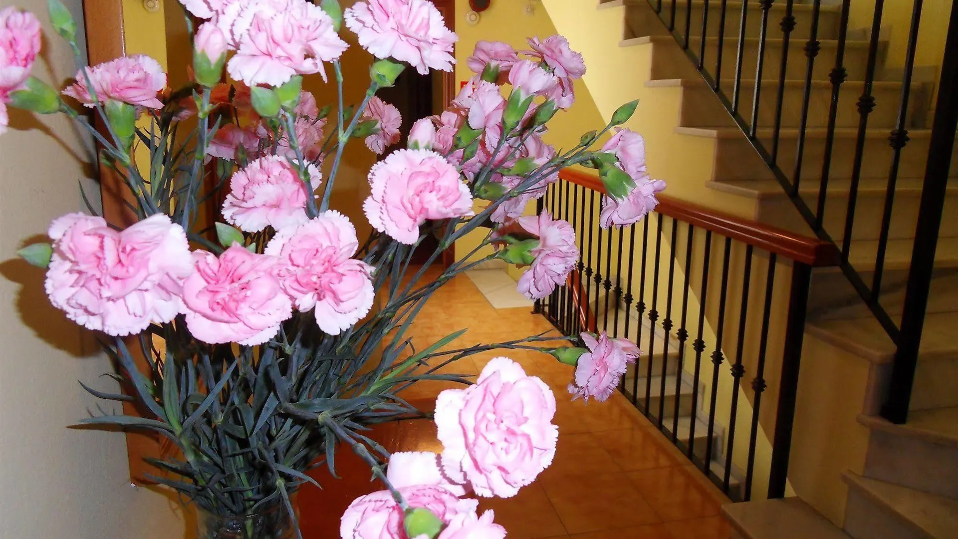 Hotel Marbella Fuengirola 2*,